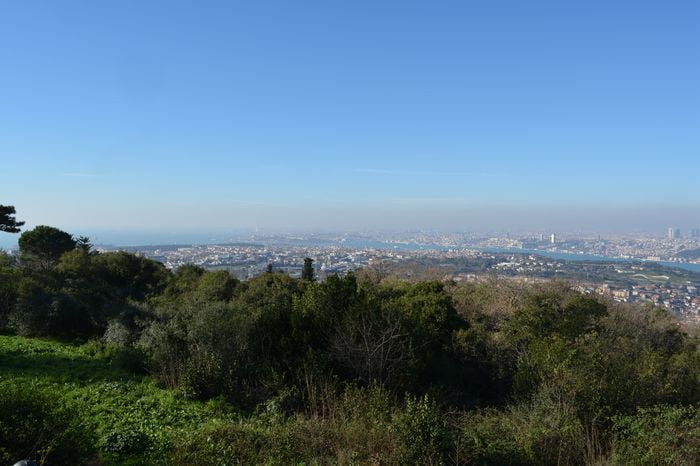Traditional weapon among the Dalmatian troops