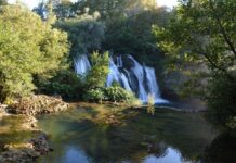 Princess Senieh Sultana and the Liberal Legacy of Mahmoud Pasha