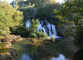 Princess Senieh Sultana and the Liberal Legacy of Mahmoud Pasha