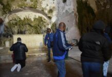 Iconographic Details of the “Unfading Rose”